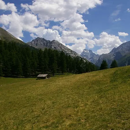 Yak Avenir 2* Aiguilles